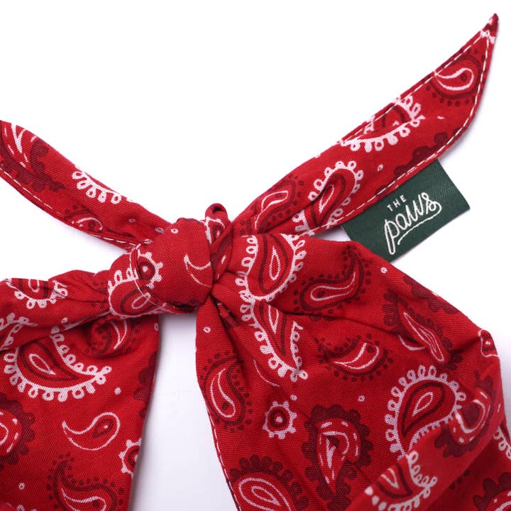 The Paws - Wholesale Pet Bandana - Dog - Dallas Dog Bandana4
