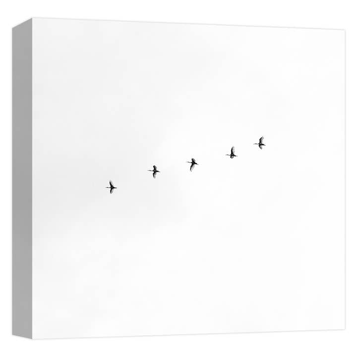 Birds Migration 22'' x 22'' Canvas Wall Art for wholesale by PTM Images