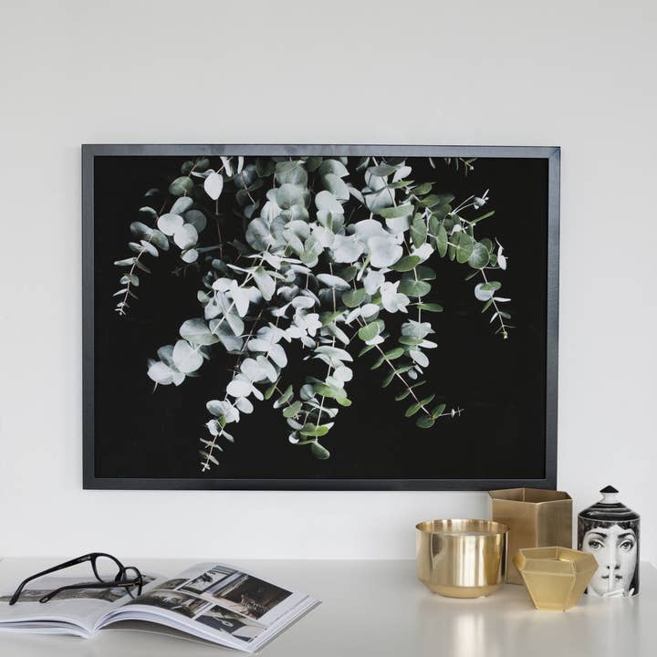 Eukalyptustryck för wholesale av SOOuK