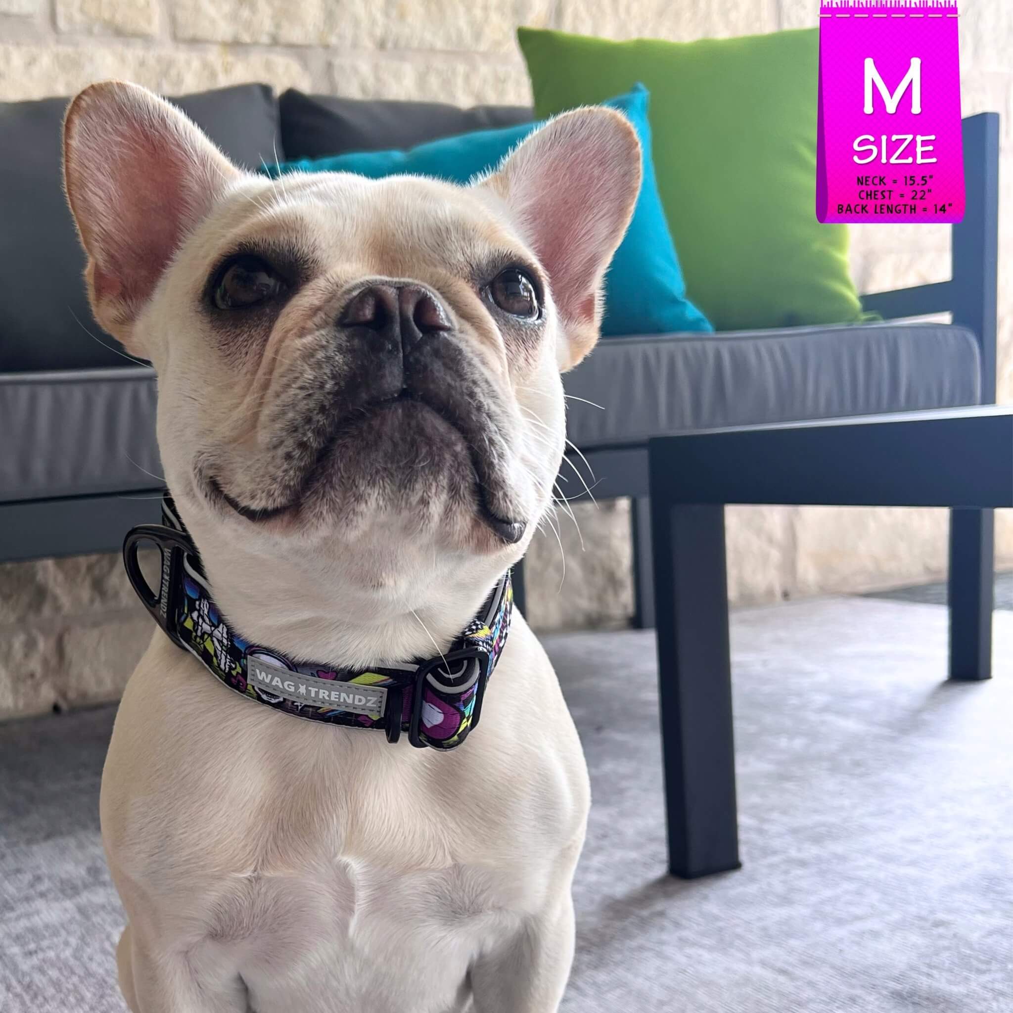 Wag Trendz® - Wholesale Pet Collar - Cat/Dog - Reflective Dog Collar - Skull Society10