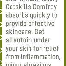 Catskills Comfrey - Wholesale Healing Salve/Balm/Cream - Original3