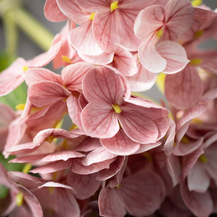 Sullivans Home Decor - Wholesale Artificial Flowers - Short Stem Dark Pink Hydrangea