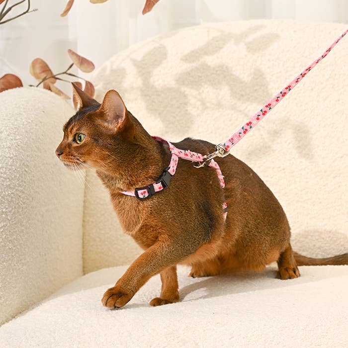 Hugsmart Products Inc - Wholesale Pet Harness - Cat - HugSmart Pet - Cat Harness & Leash Set | Cherry2
