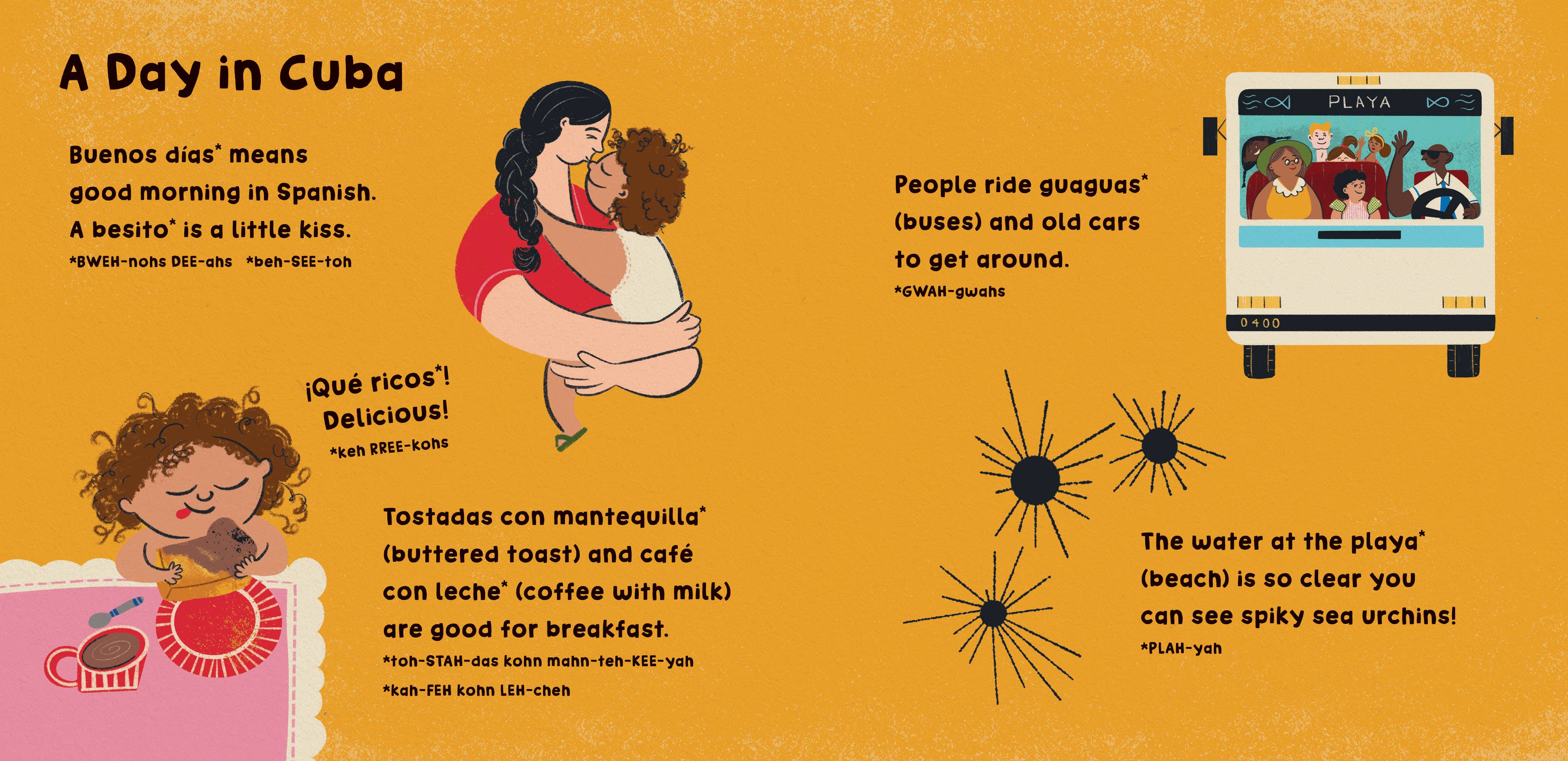 Barefoot Books - Wholesale Baby & Toddler Book (0-2) - Our World: Cuba3