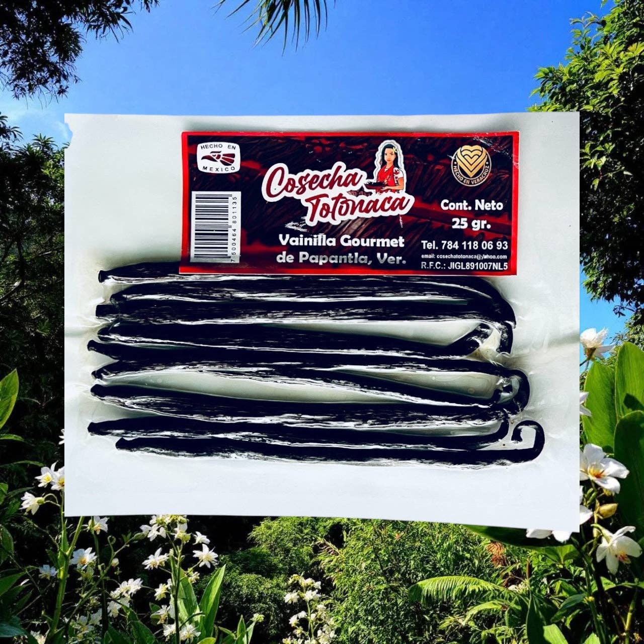 SoulGives Company - Wholesale Vanilla/Fruit Extract - Vanilla from Veracruz2