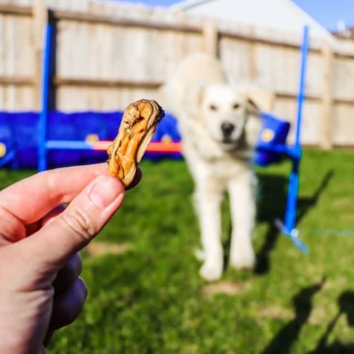 Naked Beasts, Inc. - Wholesale Pet Treats - Dog - Green Lipped Mussels (+Freeze Dried Options)9