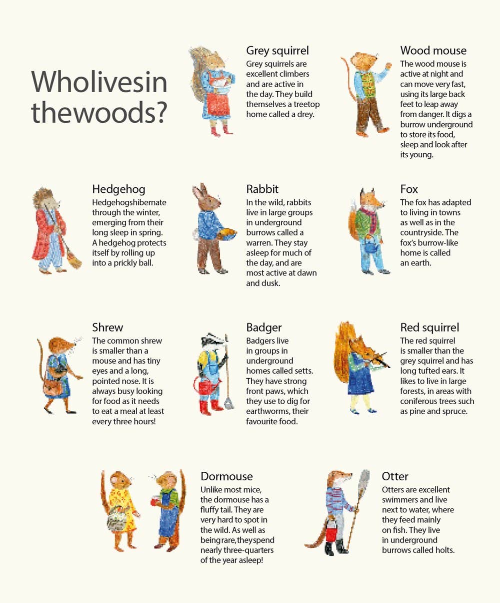 W. W. Norton - Wholesale Nature & Outdoors - Mouse's Wood: A Year in Nature5