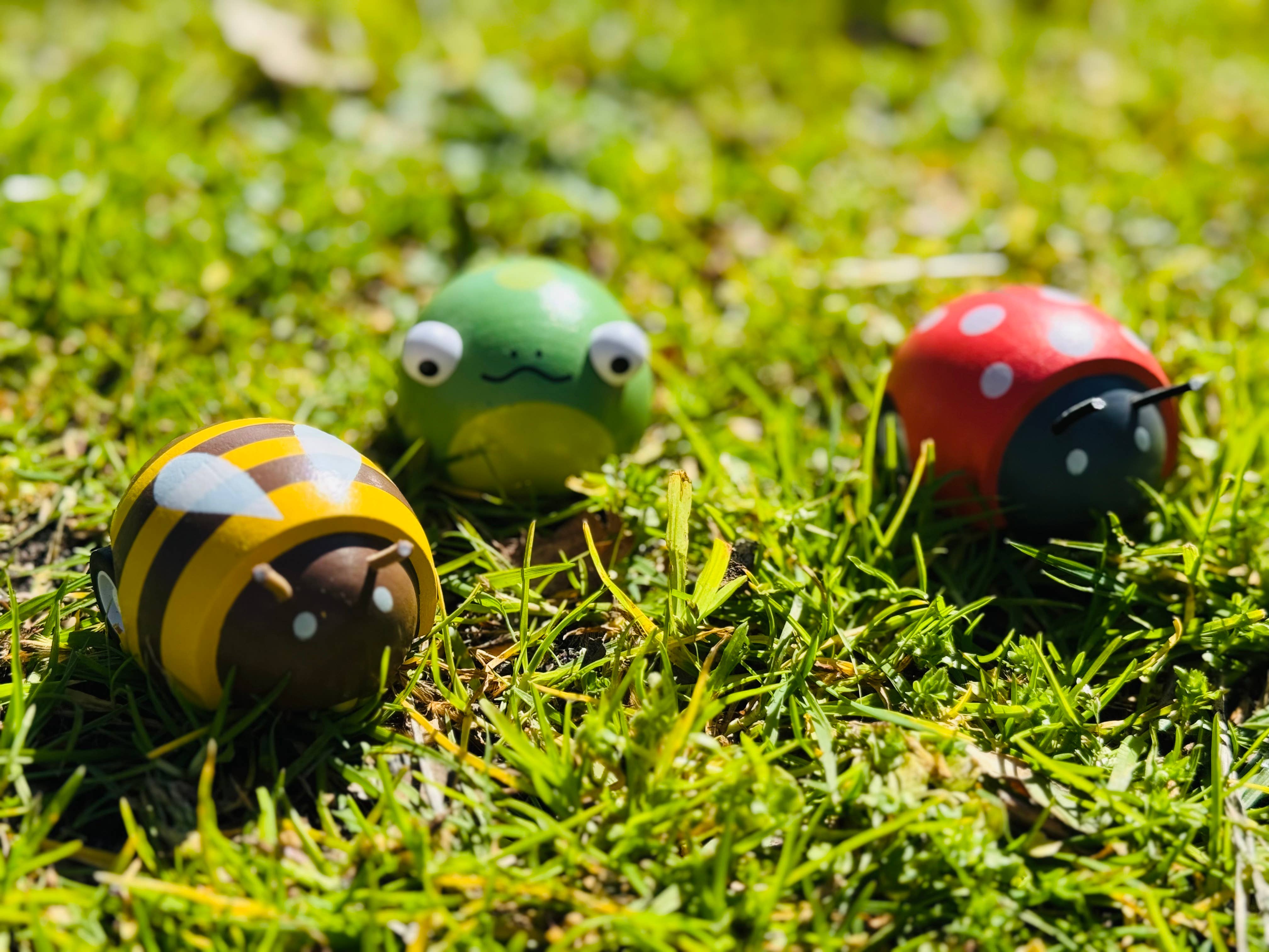 ToysLink - Wholesale Wood Toy - Kids - Wooden Pull Back Animal-Bee, Frog and Ladybug3