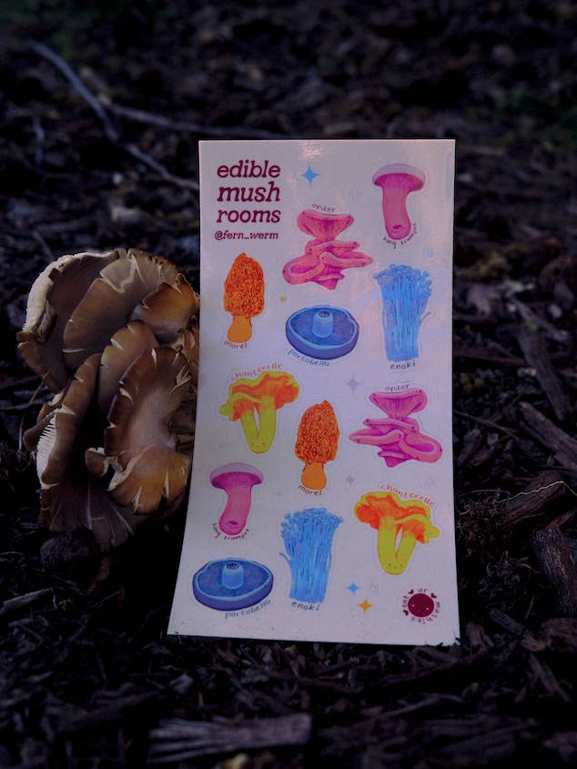 edible mushroom sticker sheet for wholesale by Sonny Honey Press