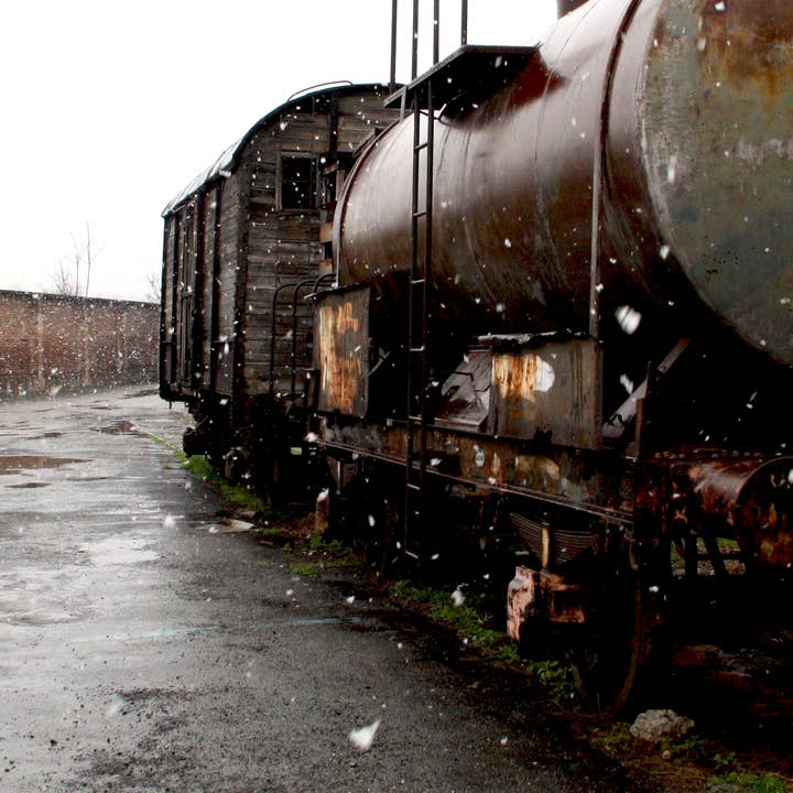 FOTO SERIE TANNOISER FARBEN für den Großhandel von MASSIMO DIVENUTO