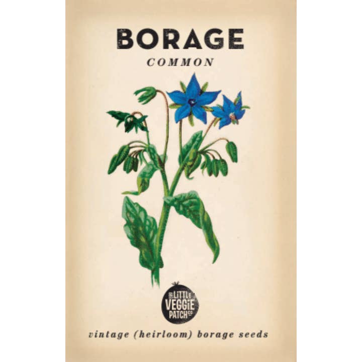 Borage 'Common' Heirloom seeds for wholesale by Little Veggie Patch Co