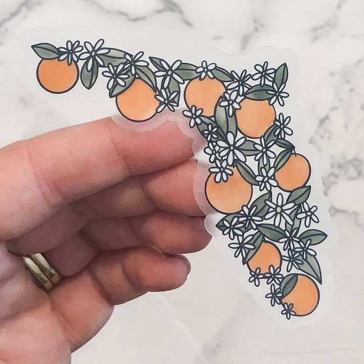 Durham doodles - Wholesale Sticker - Florida Oranges State Clear Sticker0
