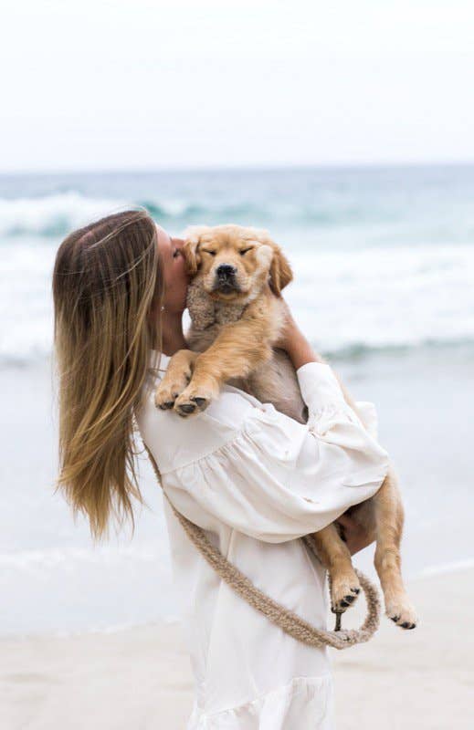 Studio Proud - Wholesale Pet Leash - Dog - Campbell - Teddy Light Dog Leash2