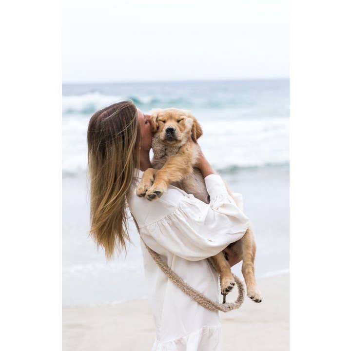 Studio Proud - Wholesale Pet Leash - Dog - Campbell - Teddy Light Dog Leash2