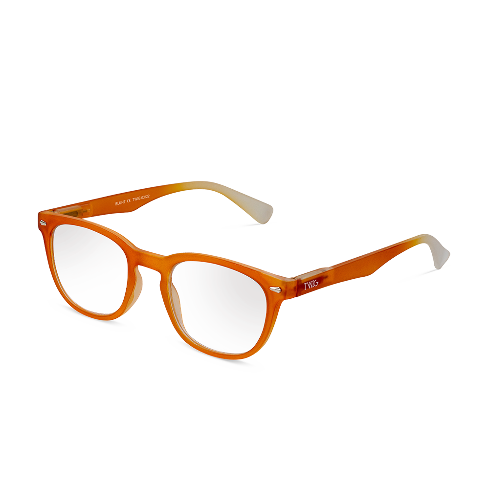 TWIG Concept Milano - Wholesale Eyeglasses - Unisex - BLUNT - Reading glasses7