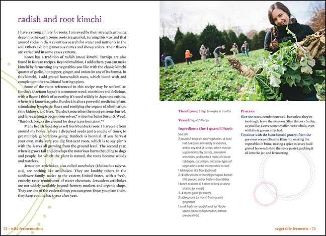 VisionWorks LLC - Wholesale Cookbooks & Food - Wild Fermentation: Live-Culture Foods, by Sandor Katz 2nd Ed5