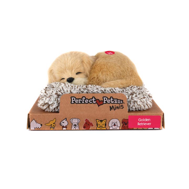 88Unlimited/Perfect Petzzz - Wholesale Stuffed/Plush Toy - Kids & Baby - Mini 01 - Golden Retriever1