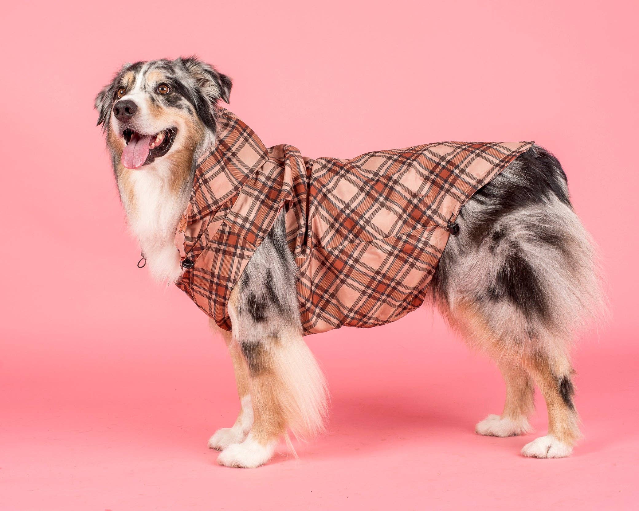 Pablo & Co. Boutique - Wholesale Pet raincoat – Dog - Winter Pooches / Kensington: Raincoat9