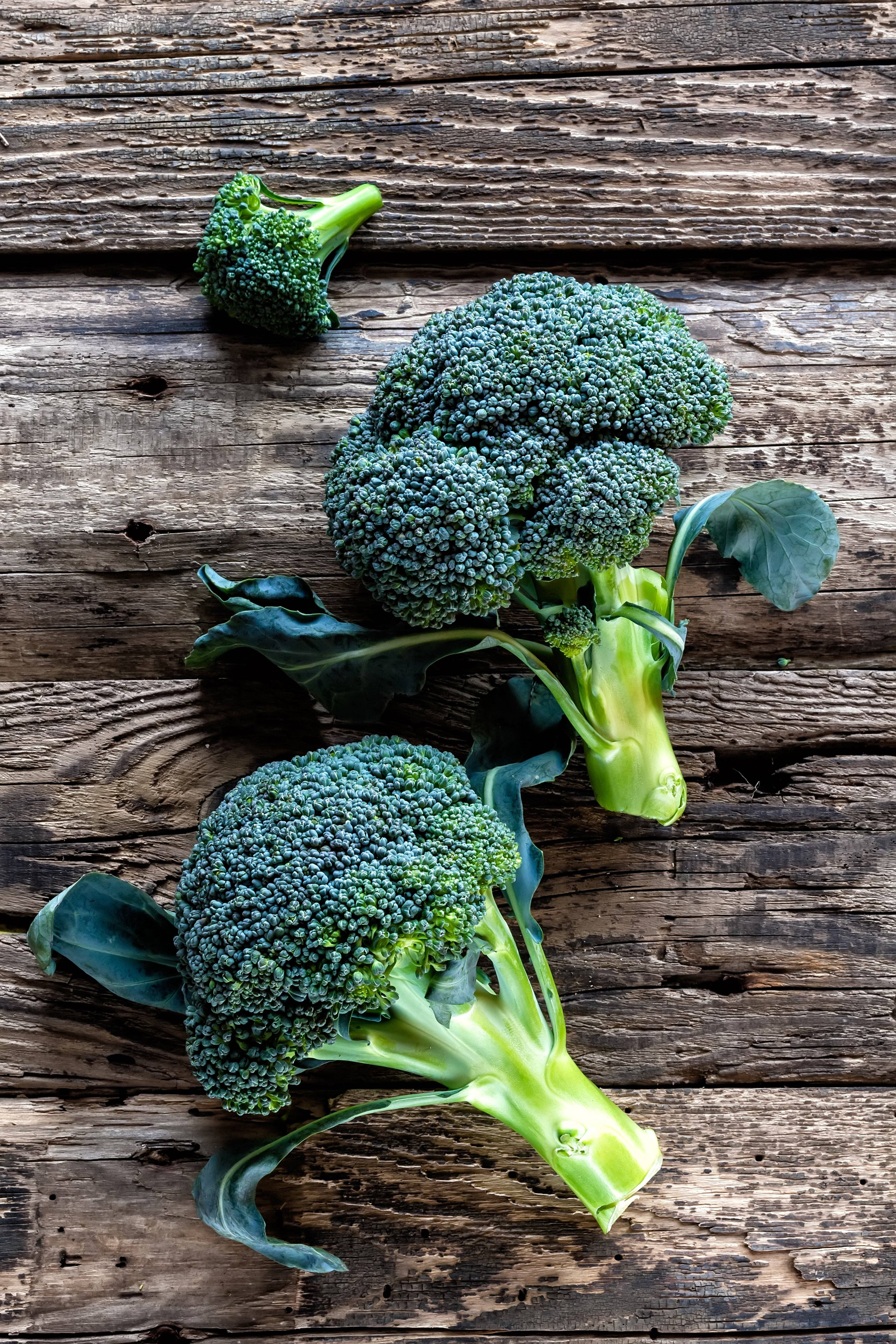 Bentley Seed Co. - Wholesale Plant Seeds - Broccoli, Green Sprouting Seed Packets3