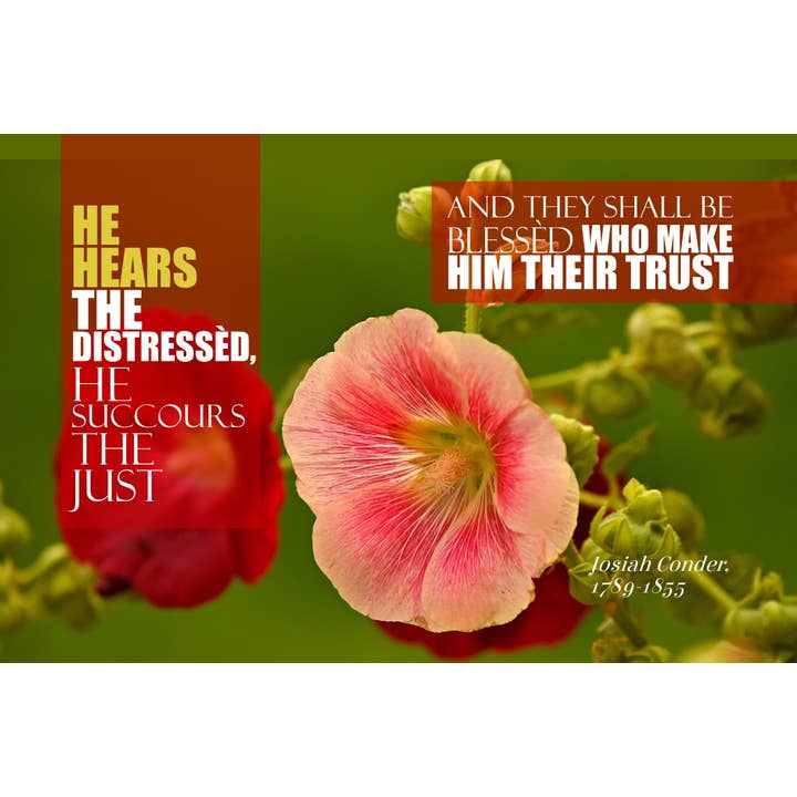 How honoured, how dear vs 5b for wholesale by Hymncourage