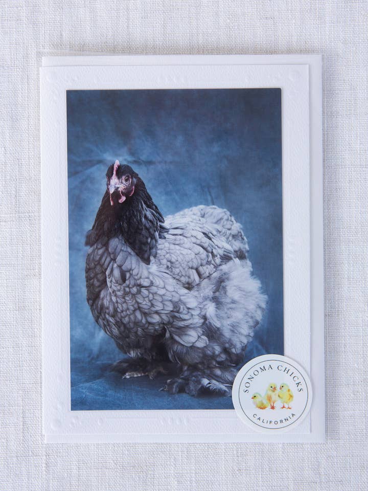 Florentina - Rescue - Handgemaakte wenskaart voor wholesale door Sonoma Chicks