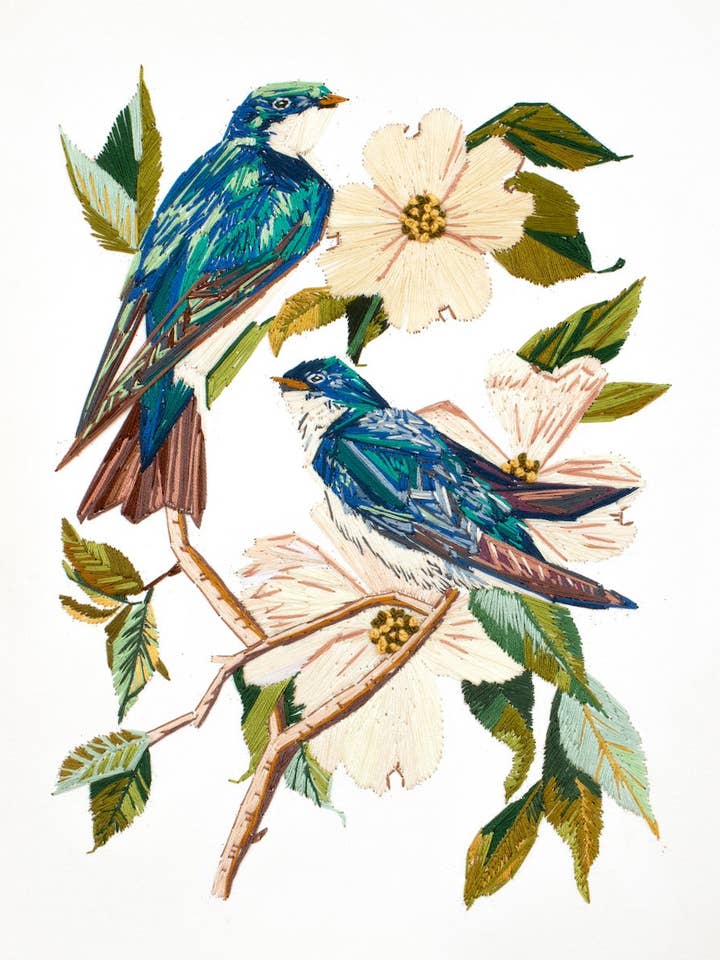 Baumschwalben und Hartriegel für den Großhandel von Elizabeth Becker