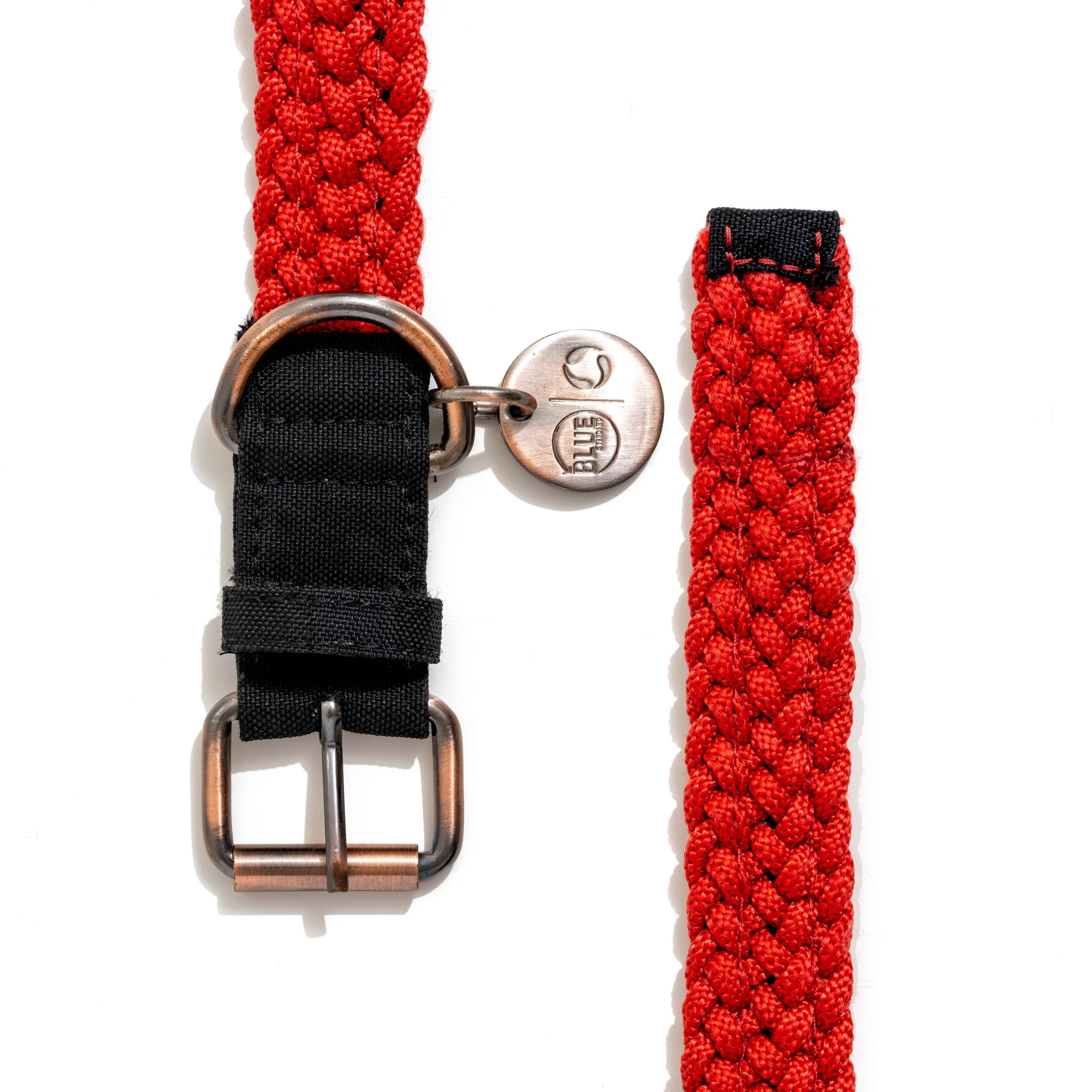 BetterBone Natural Dog Chews - Wholesale Pet Collar - Dog - BetterCollar - 100% Fairtrade Recycled Ocean Bound Plastic D5