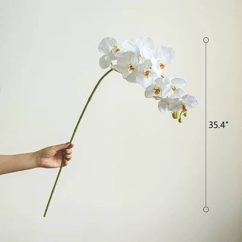 Rustic Reach - Wholesale Artificial Flowers - Real Touch Orchid Stem in Various Colors 35" Tall4