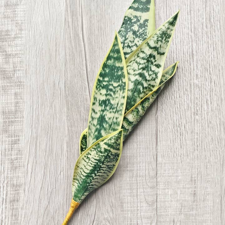 ES Essentials - Wholesale Artificial Plant - Artificial Sansevieria ( Snack Plant) Bush, 23" Green/Cream3