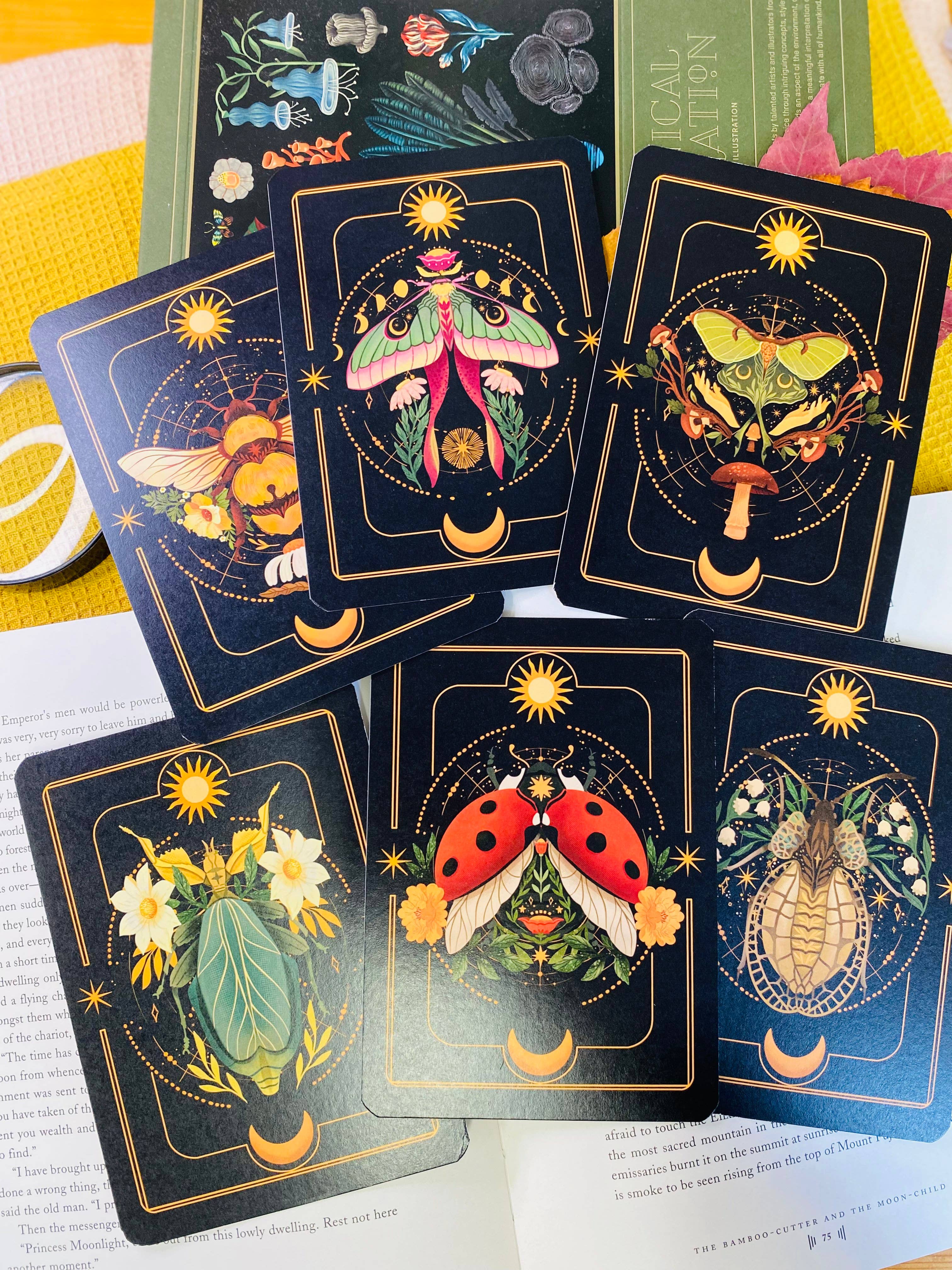 Split Moon Studios - Wholesale Art Print - A Set of Insect Art Prints - A6 Post Card Size - Artprint17