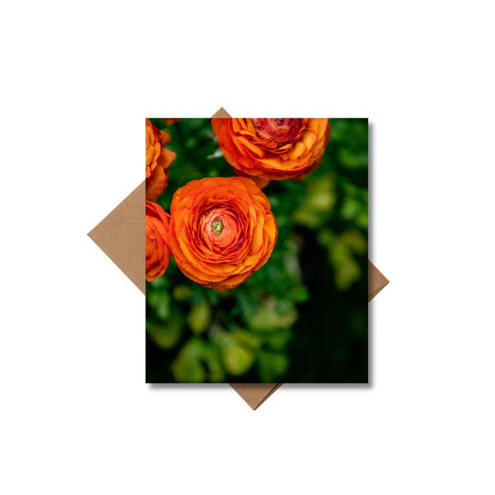 Andrea Morris Art - Wholesale Stationery/Notecard Set - Floral Card Variety Pack (5 Different Cards + Envelopes)7