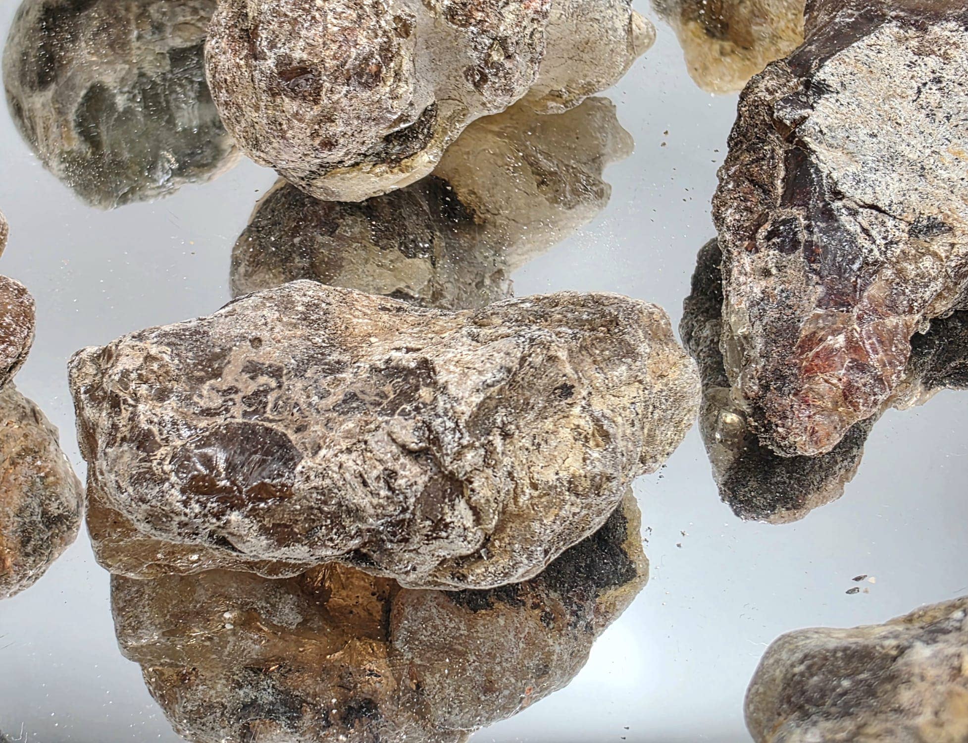 Distinction Crystals - Wholesale Spiritual Stone/Crystal - African Sub Fossil Copal5