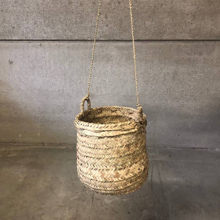 Plante suspendue en panier pour la vente par ChoufMoi