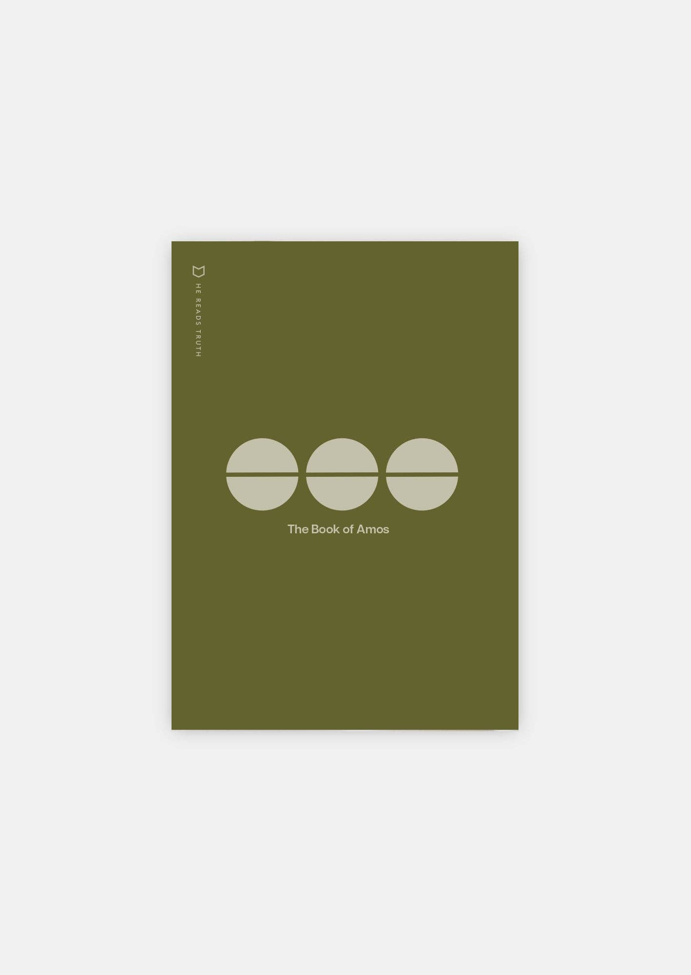 She Reads Truth - Wholesale Religion Book - Amos Men's Reading Guide0