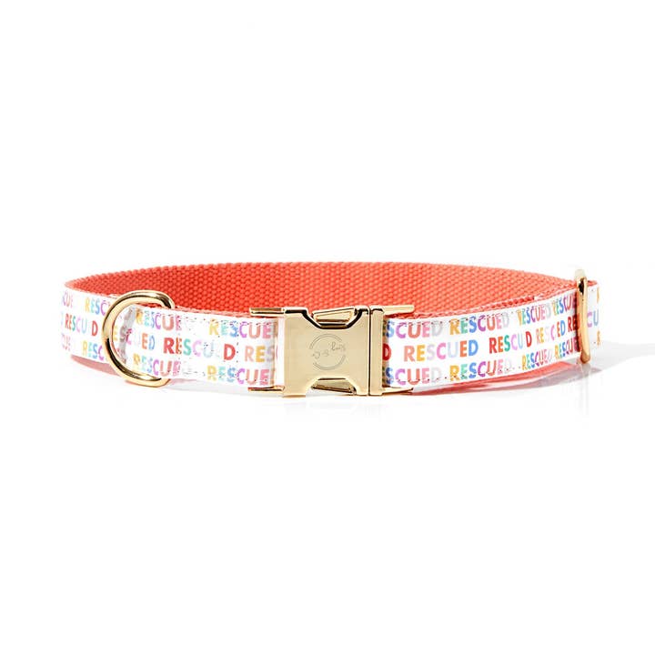 RESCUED DOG COLLAR for wholesale by Roxy & Co. Canine Accessories