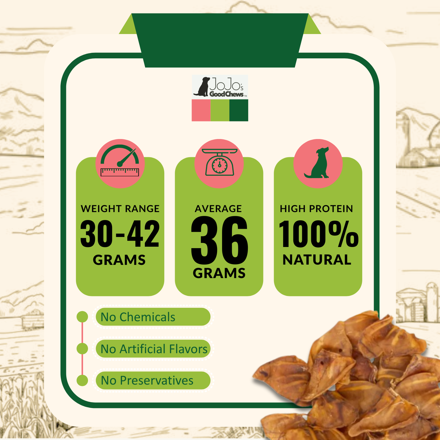 Jojo Modern Pets - Vendita all'ingrosso Snack - Cani - Orecchie di maiale intere per cani - Masticativi naturali 25 pezzi3