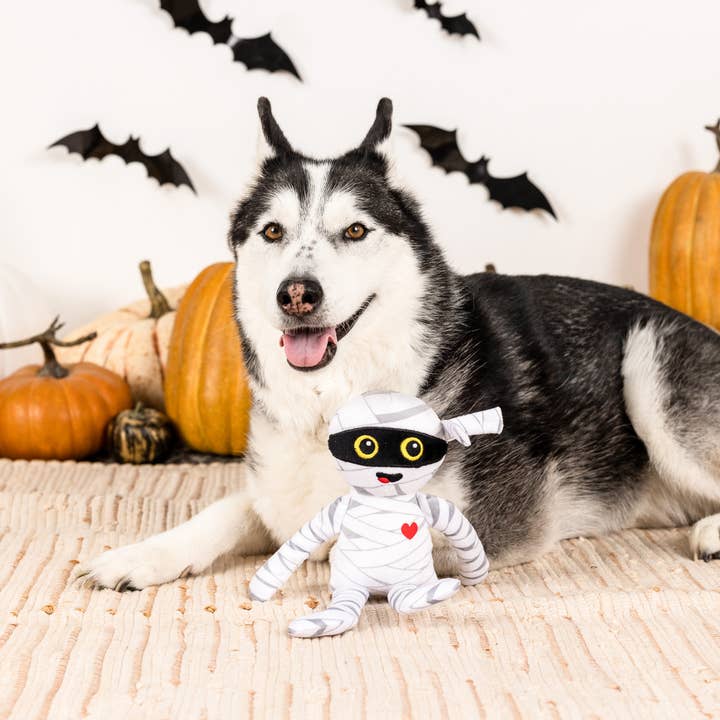 Petshop by Fringe Studio - Wholesale Pet Plush Toy - Dog - OH MY GAUZE