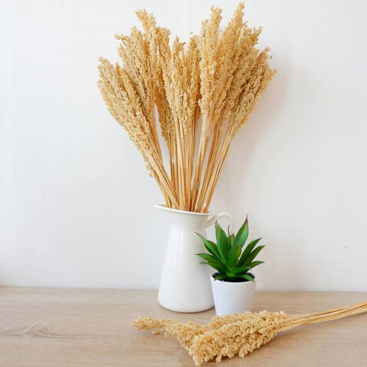 Ancient Wisdom – wholesale Dried/pressed flowers – Cantal Grass Bunch - Natural3