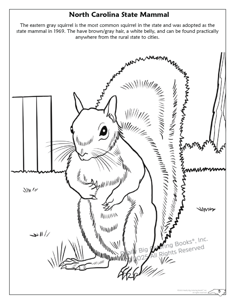 Really Big Coloring Books | ColoringBook.com - Vendita all'ingrosso Libro da colorare e attività - Bambini e neonati - Libro da colorare dello Stato della Carolina del Nord 8,5 x 113