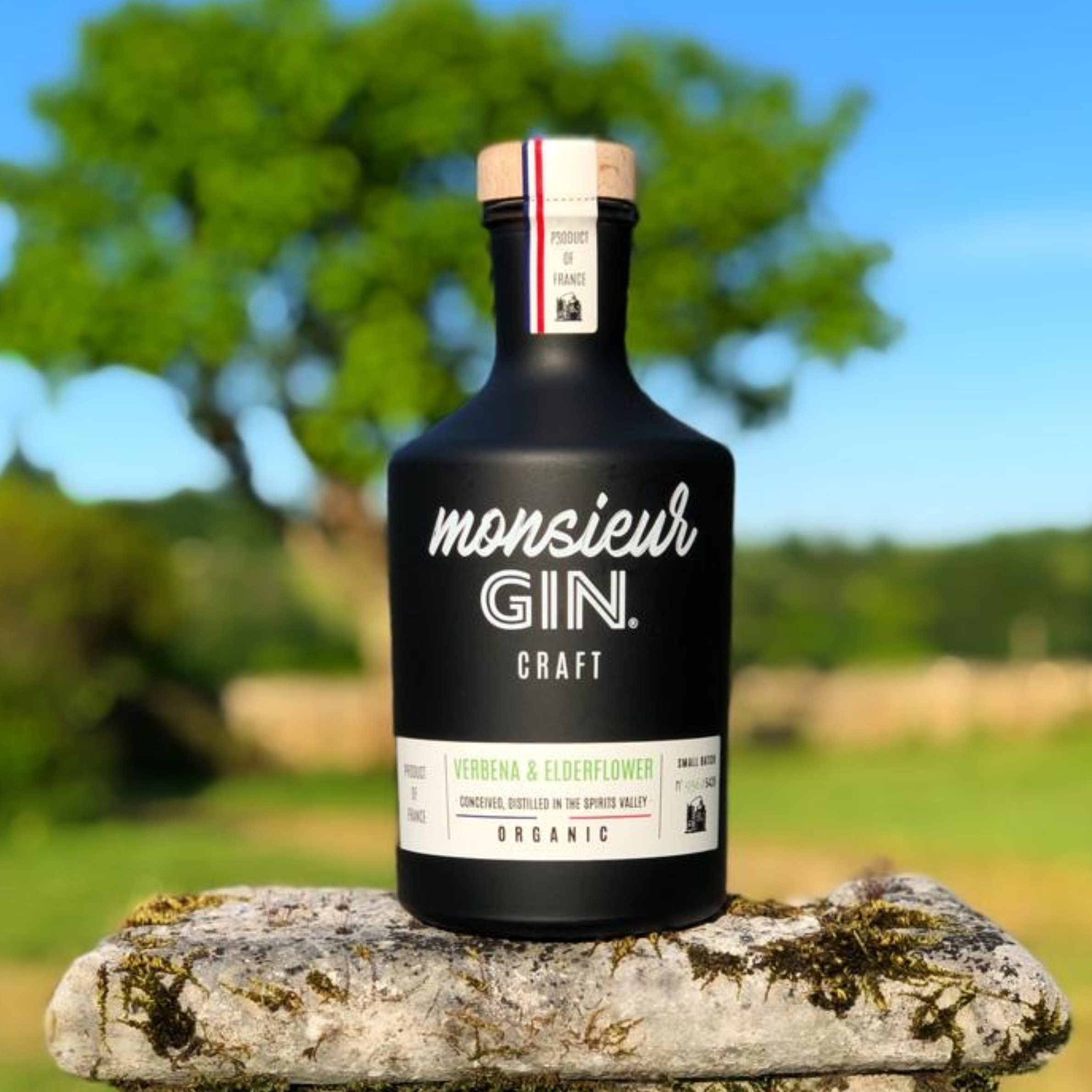 Maison AR.Spirits - Wholesale Gin - Gin - Mister Gin2