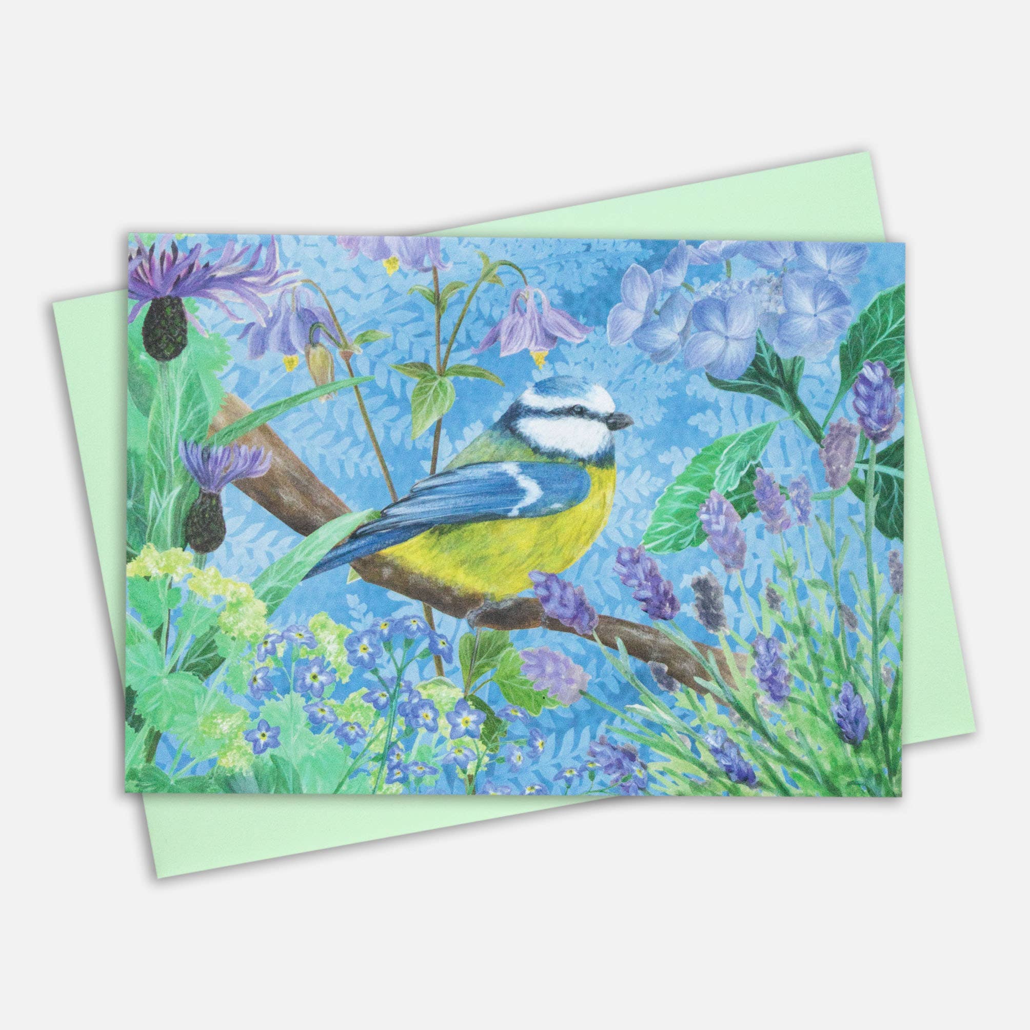 AMPellegrini Art & Design - Wholesale Everyday Greeting Card - Blue Tit card / Bird illustration greeting card2