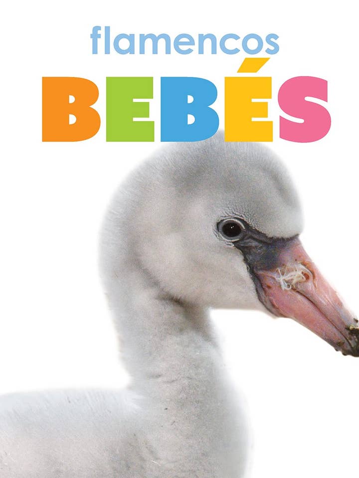El principio de los: flamencos bebés for wholesale by The Creative Company