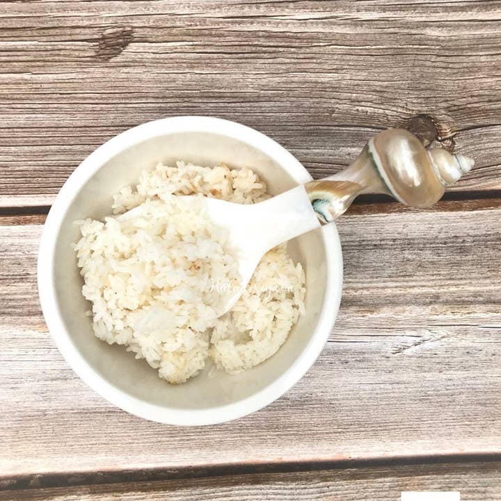 Hala Design - Wholesale Kitchen Spoon - Sea Shell Non Stick Rice Paddle Spoon, Rice Spoon2