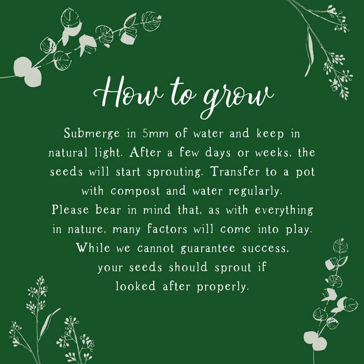 Purcell-Green Studios – wholesale Congratulations card – Hooray! Confetti Plantable Congratulations Card2