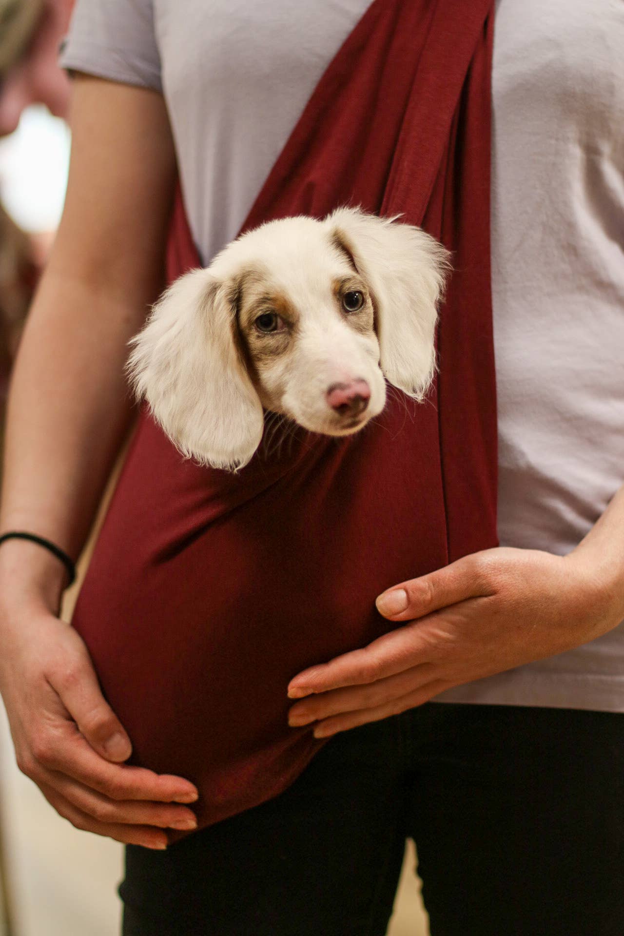 Hugo and Ted Ltd – wholesale Pet carrier – Dog – Light-Weight Dog Sling5