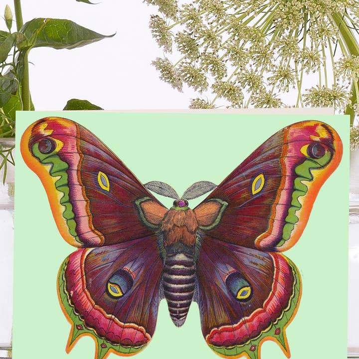 Madame Treacle – wholesale Everyday greeting card – VT0073P ~ Little Vintage Greeting Card