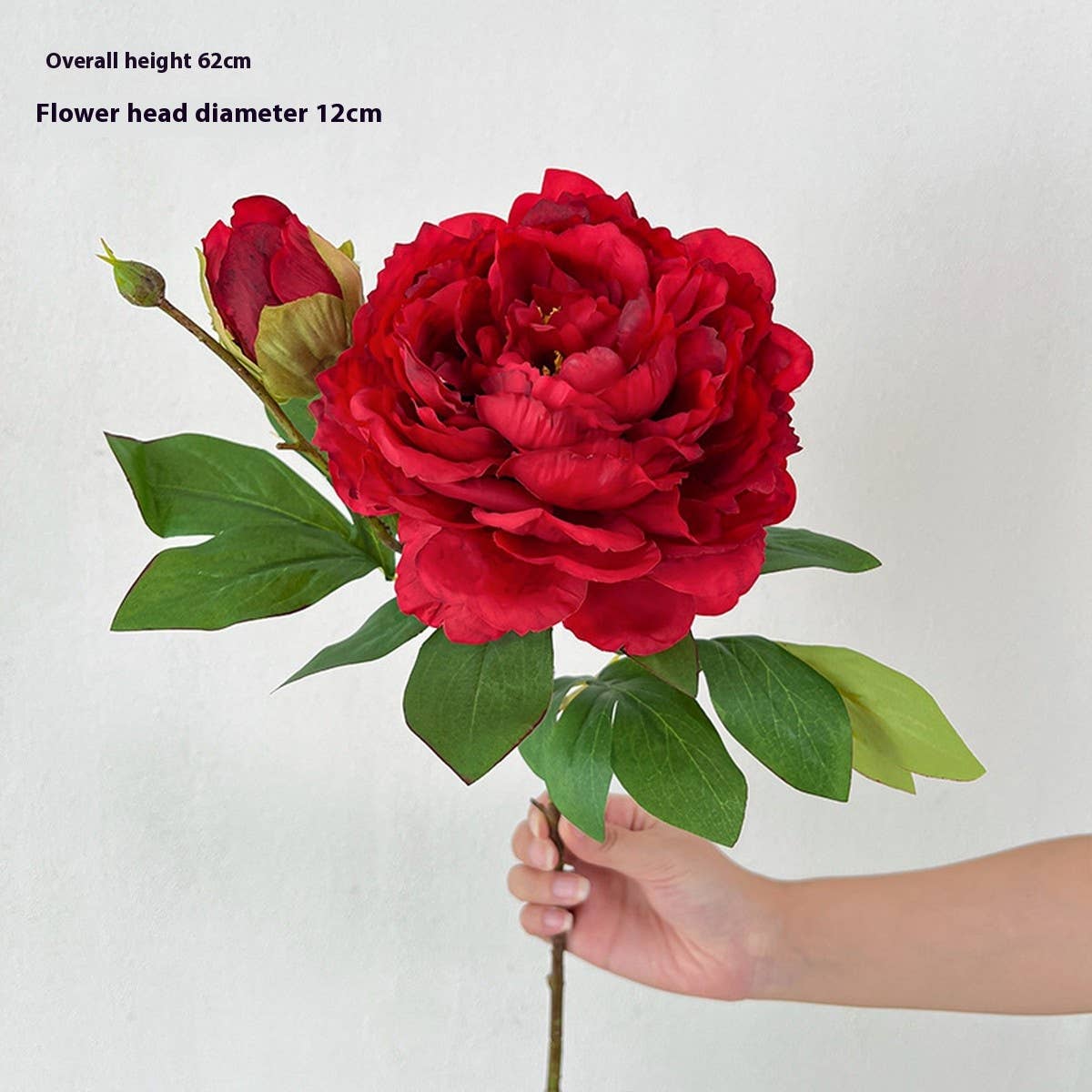 ACCITY - Wholesale Artificial Flowers - Long Stem Double Peony Artificial Flower Decor_CWMM64625