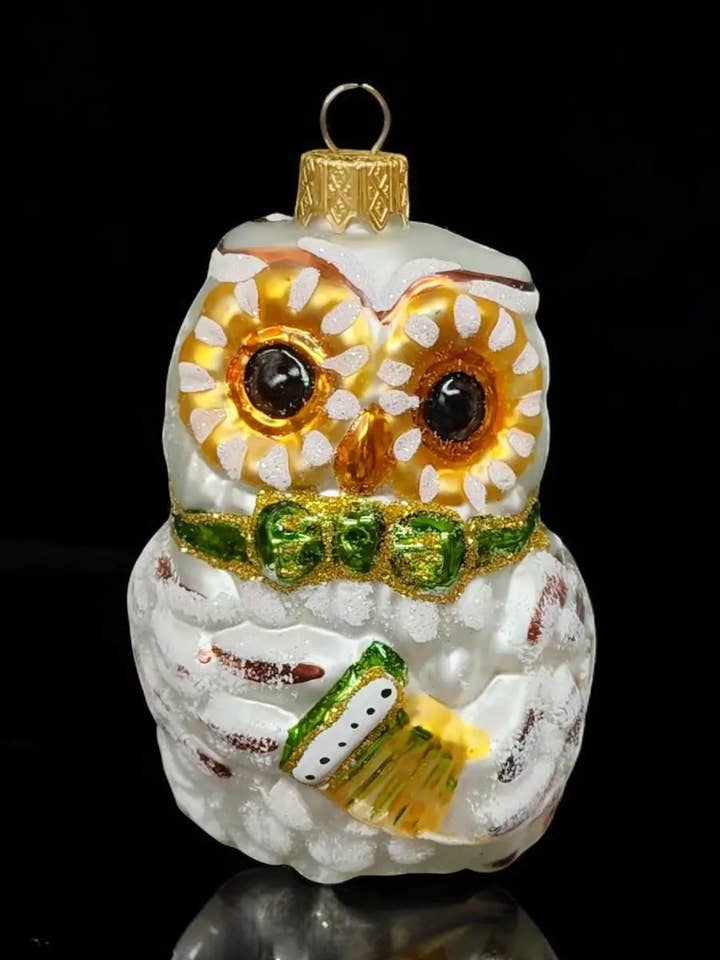 Owl Ornament - Hand Made In Ukraine - Blown Glass Ornament - Hand Decorated - Keepsake Ornament - Owl w Accordion- Wise Owl - Figurative Ornament for wholesale by Glass by Iness