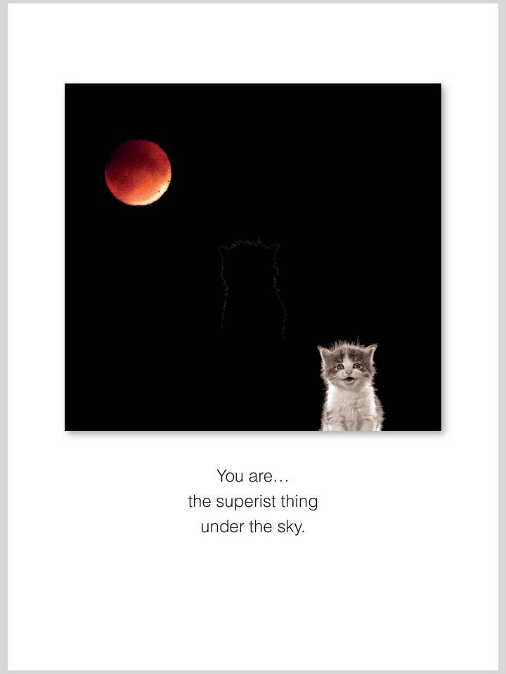 You are the superist Birthday Greeting Card for wholesale by The Borealis Press Inc