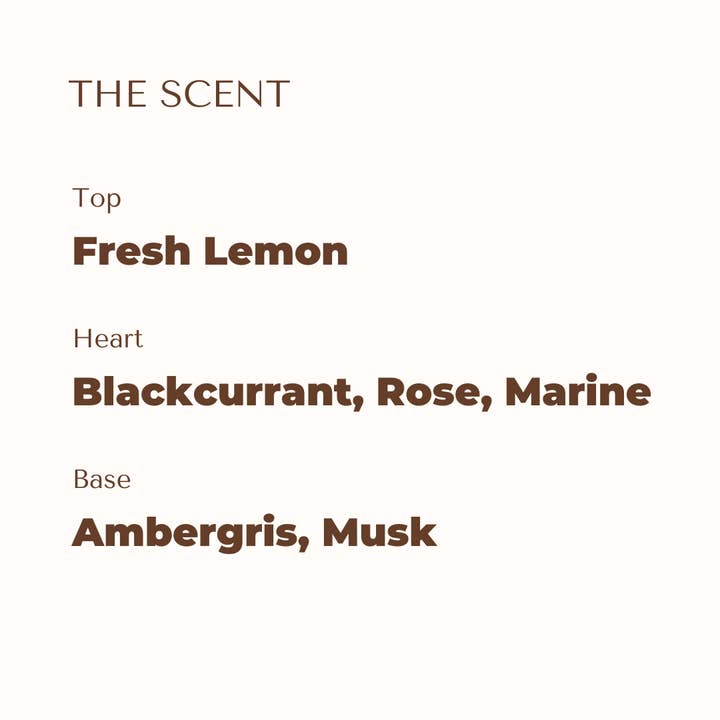 ROOROO MADE - Wholesale Pet spray – Dog - Dog Perfume | SUMMER BLANC1